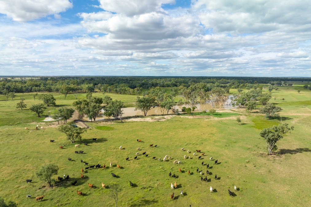 5790 Flinton Road, Flinton, QLD, 4422 - Image 7