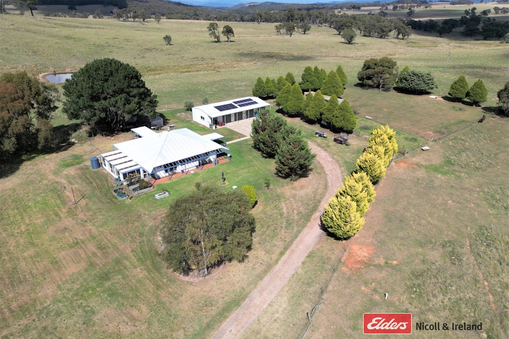 100 Pitlochry Road, Neville, NSW, 2799 - Image 1