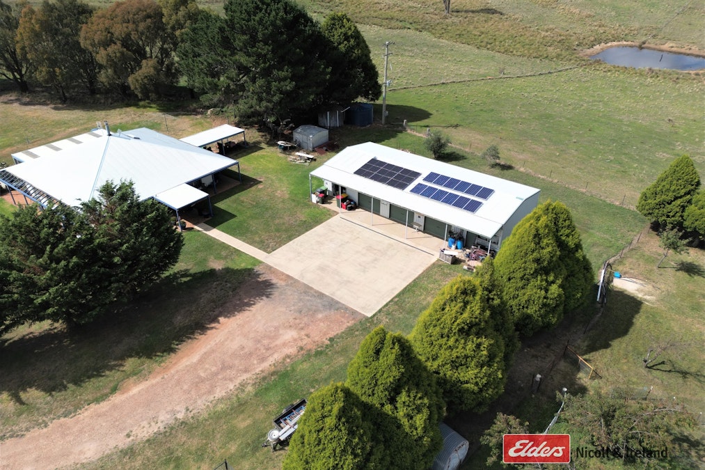 100 Pitlochry Road, Neville, NSW, 2799 - Image 9