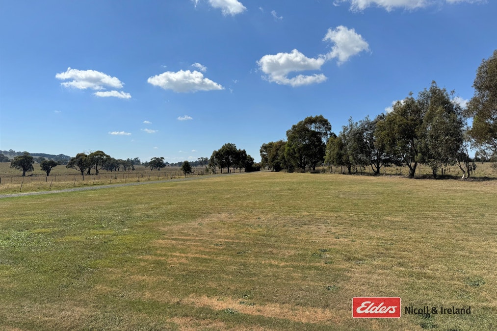 100 Pitlochry Road, Neville, NSW, 2799 - Image 12