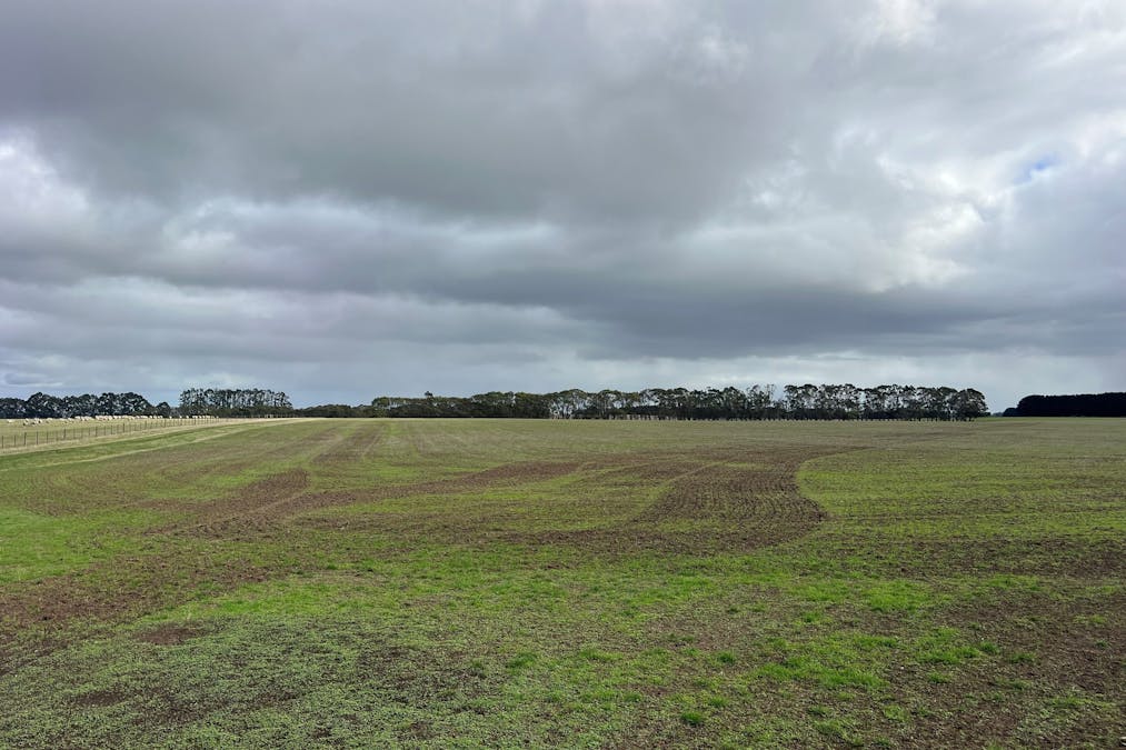 290 ByadukPenshurst Road, Byaduk, VIC, 3301 For Sale Elders Real