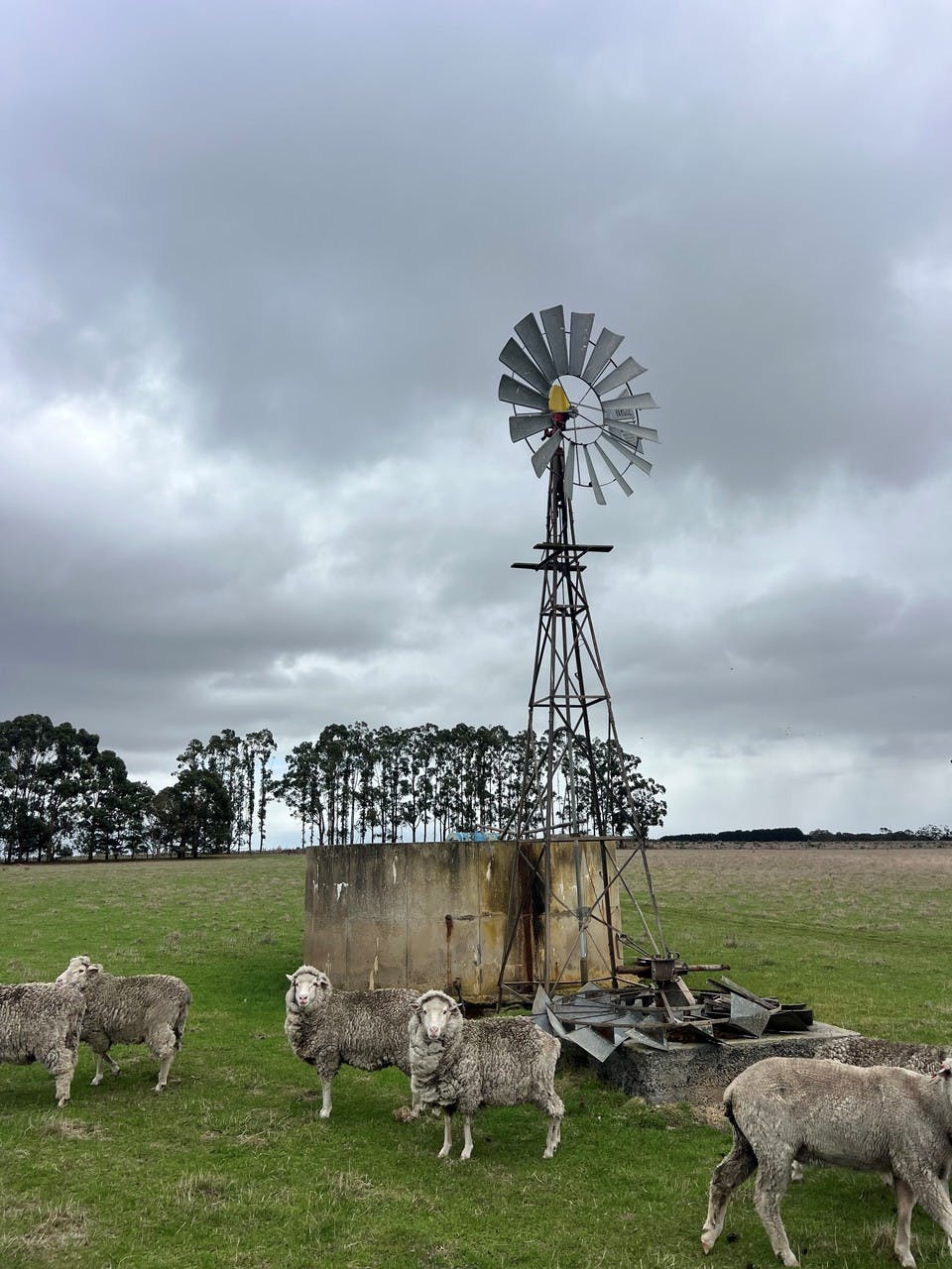 290 ByadukPenshurst Road, Byaduk, VIC, 3301 For Sale Elders Real