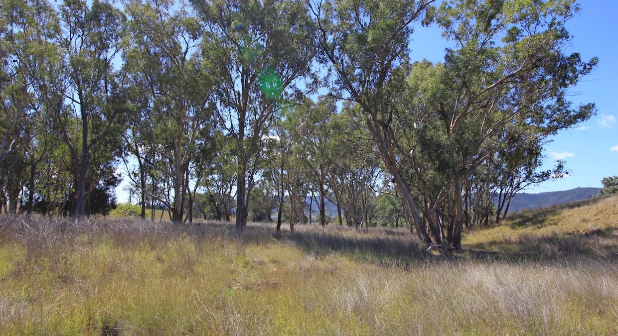 5413 Cobbadah Road, Bingara, NSW, 2404 - Image 32