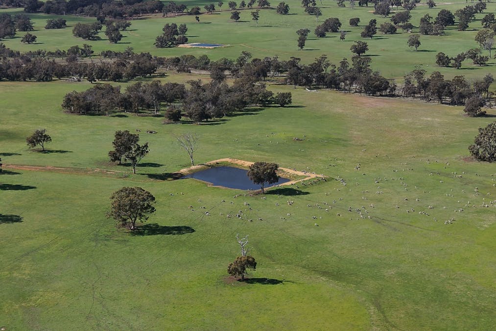 898 Flat Rocks Road, Broomehill West, WA, 6318 - Image 8