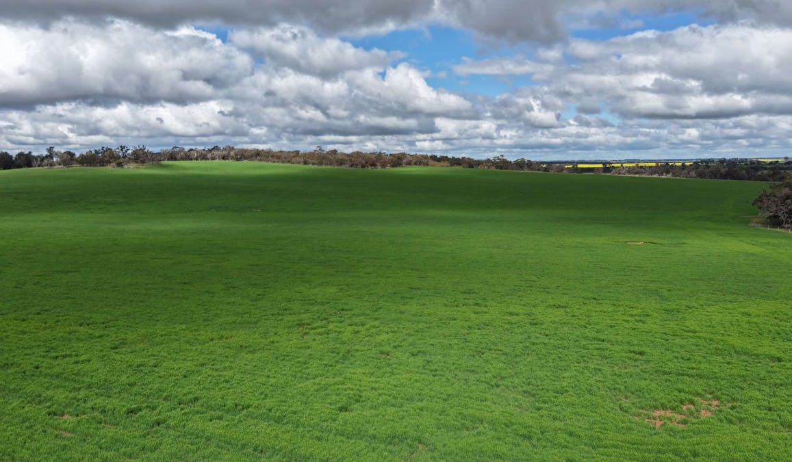 898 Flat Rocks Road, Broomehill West, WA, 6318 - Image 21