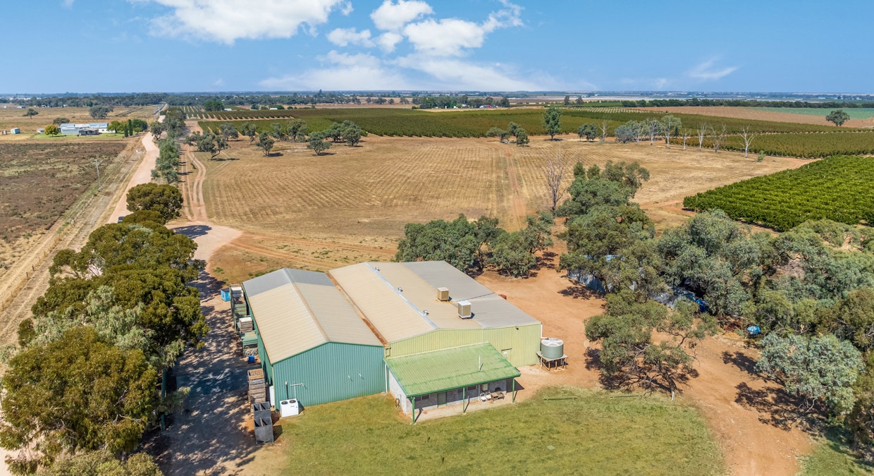 173 Chillingollah Road, Tyntynder South, VIC, 3586 - Image 14