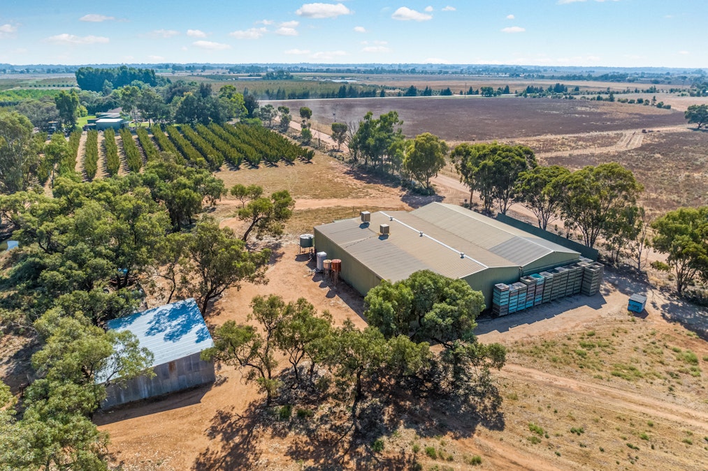173 Chillingollah Road, Tyntynder South, VIC, 3586 - Image 13