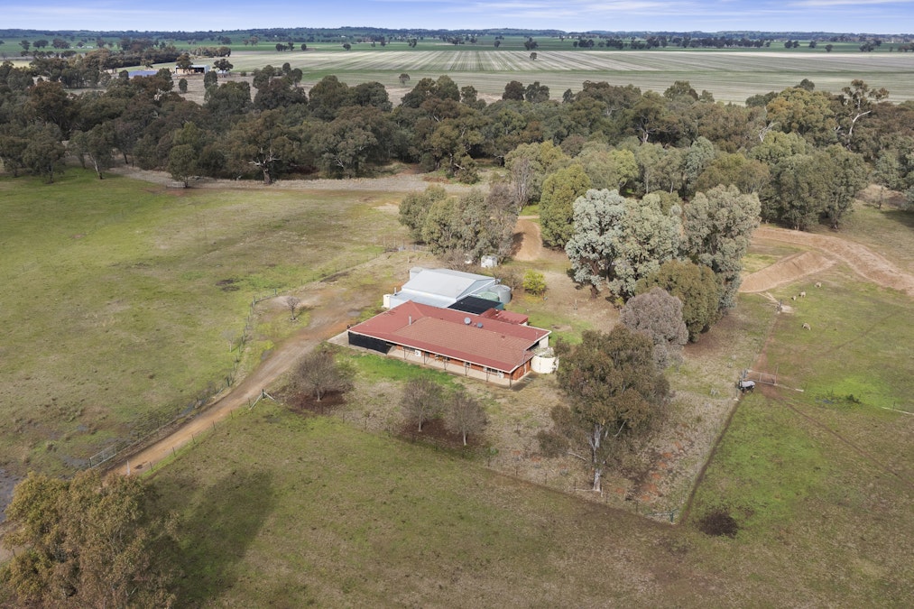 2037 Tungamah Peechelba Road, Wilby, VIC, 3728 - Image 2