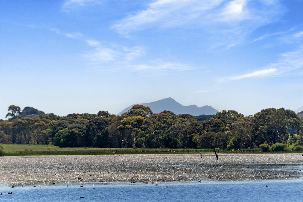 172 O'Connors Lane, Nareeb, VIC, 3293 - Image 1
