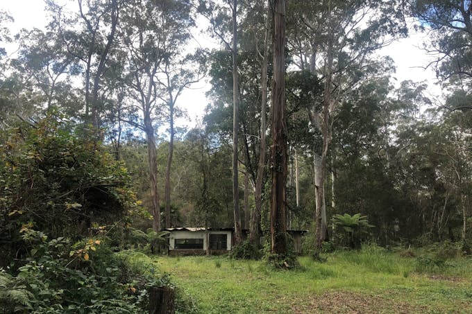 8153 Armidale Road, Dundurrabin, NSW, 2453 - Image 2