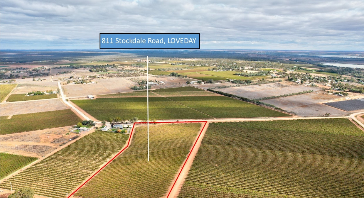 811 Stockdale Road, Loveday, SA, 5345 - Image 1