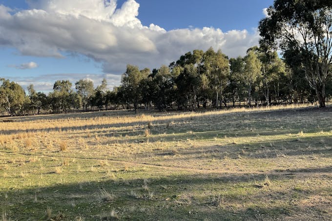 Rocky Ridge Road, Carapooee, VIC, 3477 - Image 1