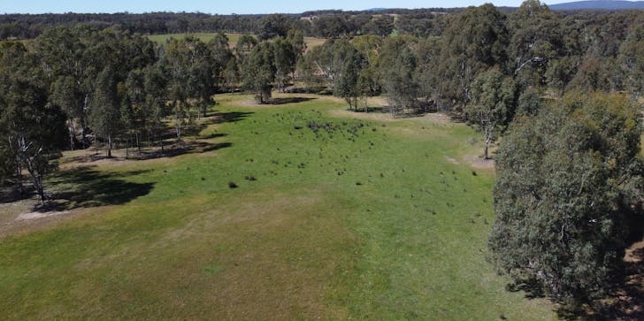 Rocky Ridge Road, Carapooee, VIC, 3477 - Image 1