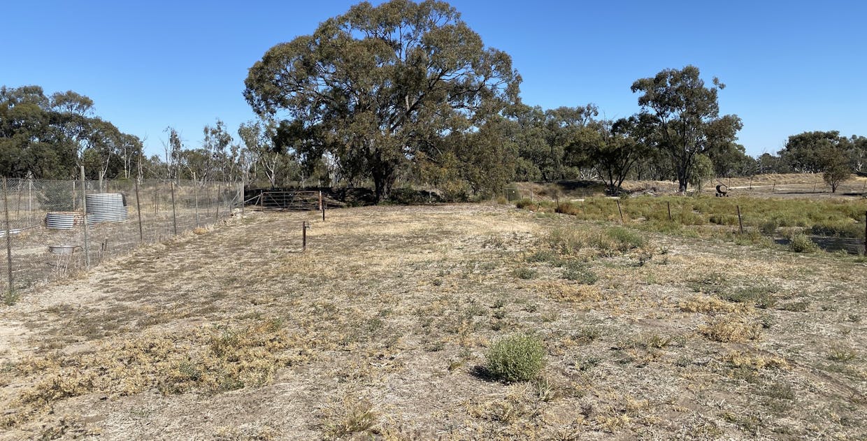 66 Charles Street, Jeparit, VIC, 3423 - Image 16