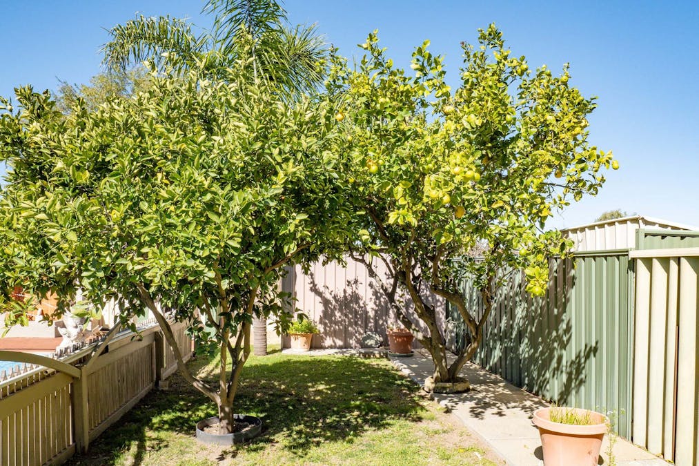 8 Carmody Road, Waikiki, WA, 6169 - Image 30