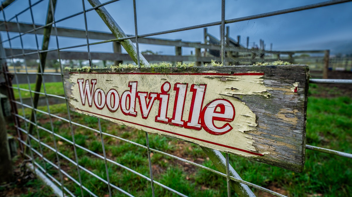 'Woodville' , Delegate River East, VIC, 3888 - Image 24