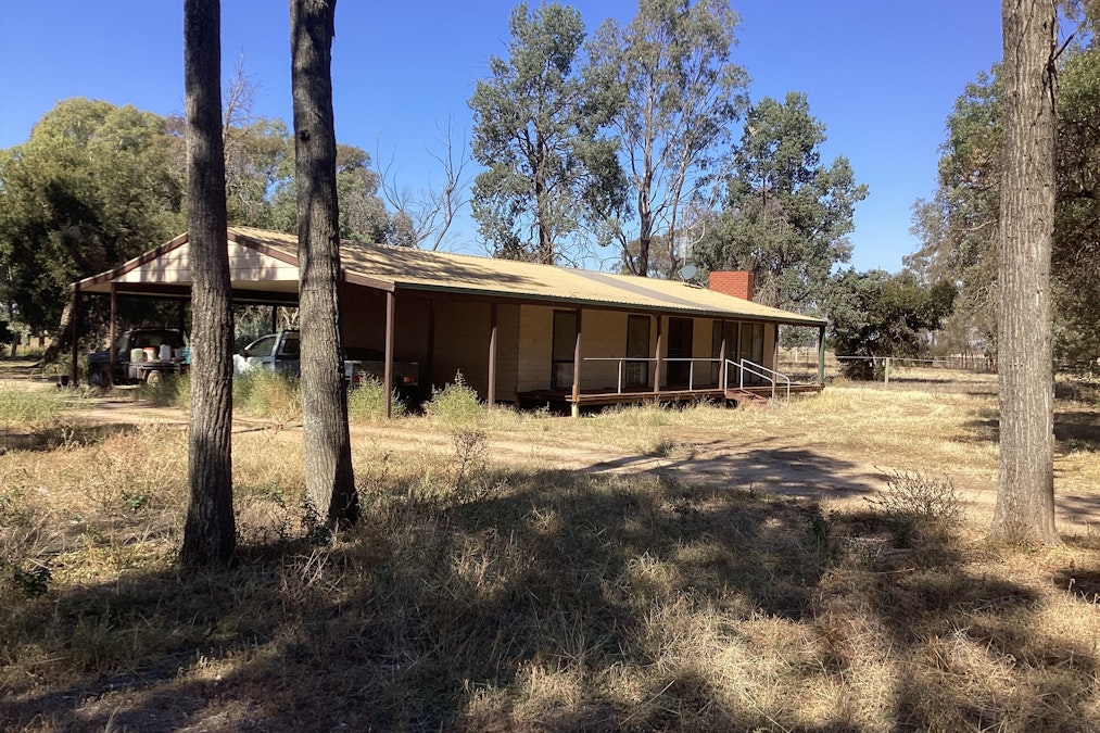 1140 Piney Road, Finley, NSW, 2713 - Image 2