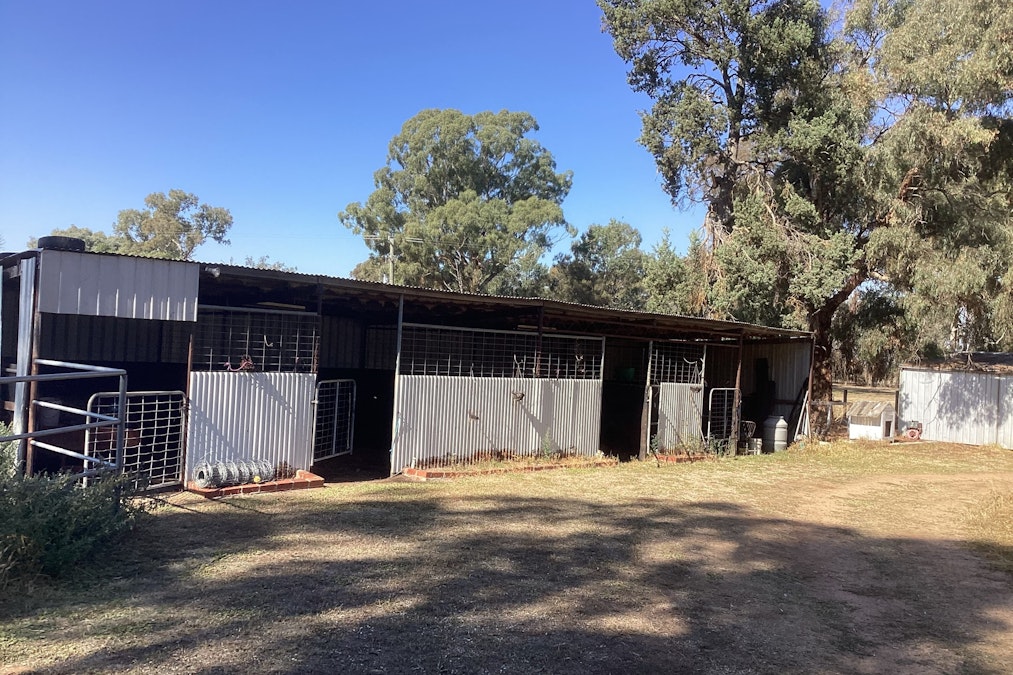 1140 Piney Road, Finley, NSW, 2713 - Image 6