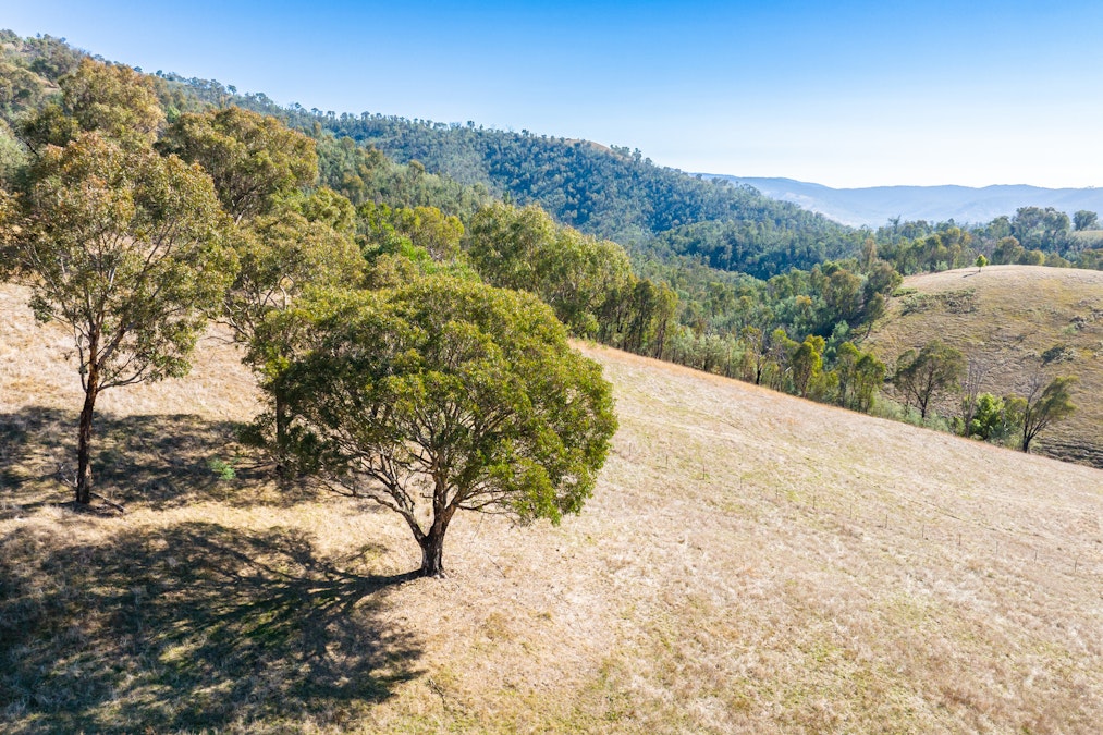 - Mount Alfred Road, Mount Alfred, VIC, 3709 - Image 13