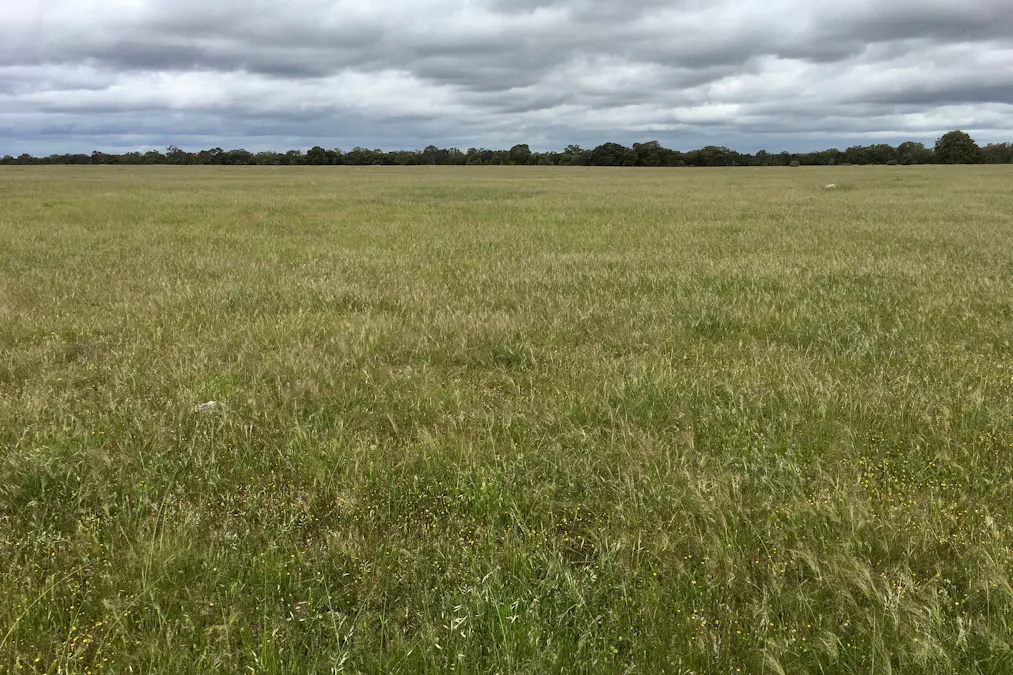 2212 Kappawanta Road, Elliston, SA, 5670 - Image 18
