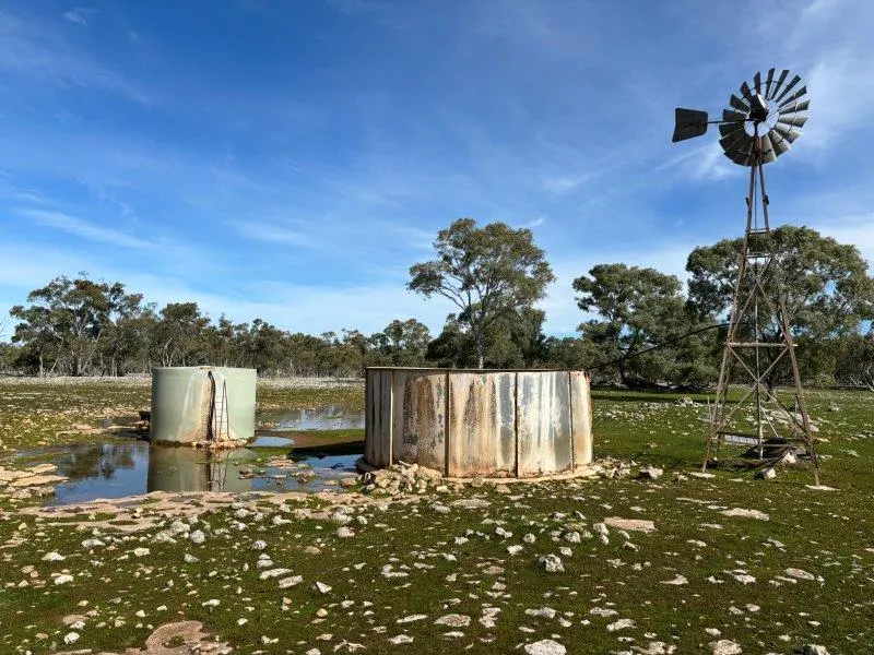 2212 Kappawanta Road, Elliston, SA, 5670 - Image 21