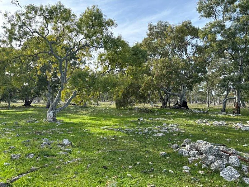 2212 Kappawanta Road, Elliston, SA, 5670 - Image 2