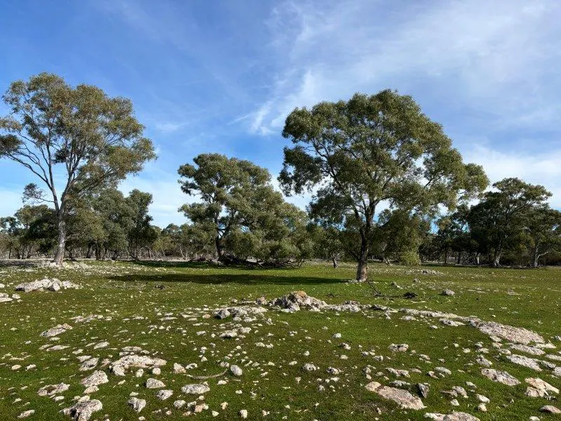 2212 Kappawanta Road, Elliston, SA, 5670 - Image 15