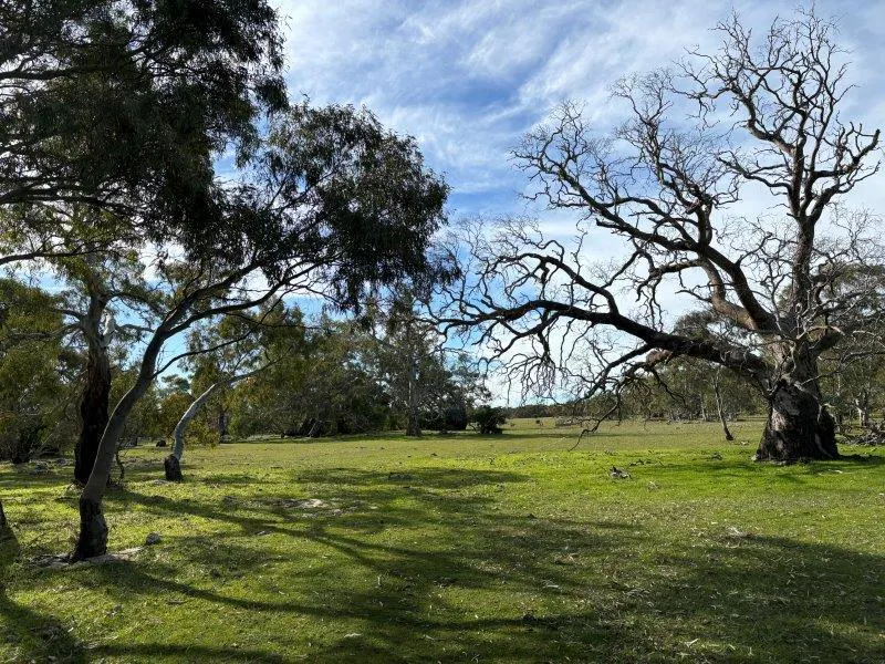 2212 Kappawanta Road, Elliston, SA, 5670 - Image 26