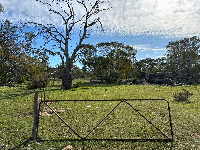 2212 Kappawanta Road, Elliston, SA, 5670 - Image 27