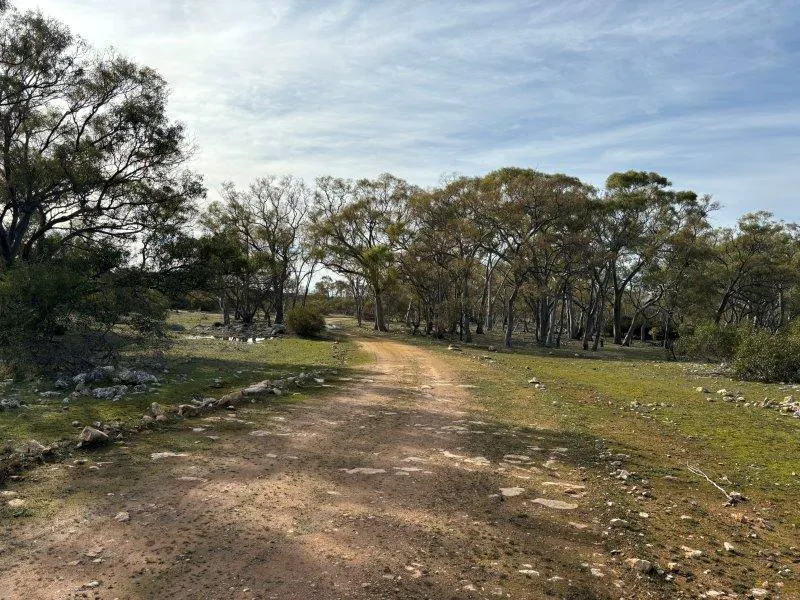2212 Kappawanta Road, Elliston, SA, 5670 - Image 14
