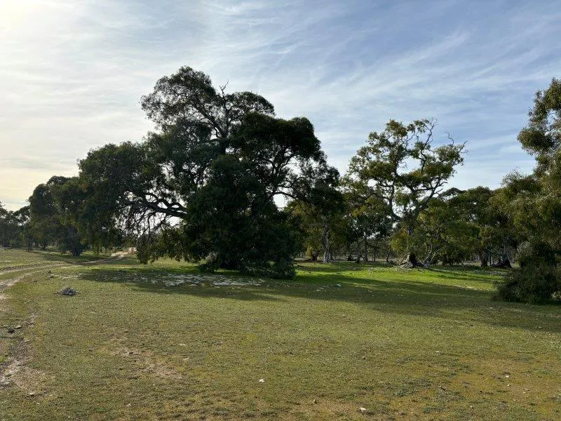 2212 Kappawanta Road, Elliston, SA, 5670 - Image 17