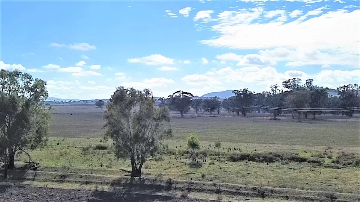 123 Barnes Road, Eugowra, NSW, 2806 - Image 4