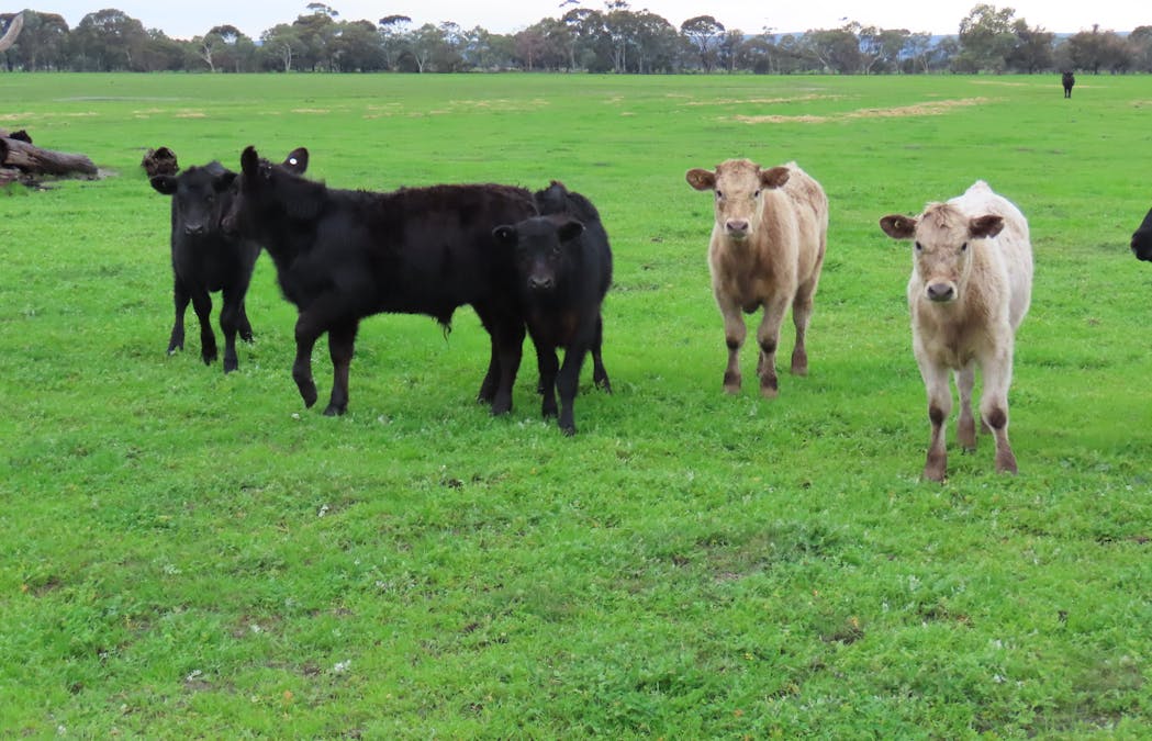 Lots Marsh Road, West Pinjarra, WA, 6208 - Image 2