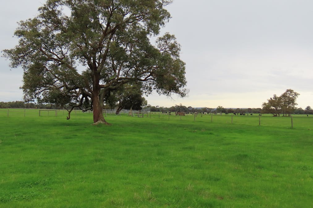Lots Marsh Road, West Pinjarra, WA, 6208 - Image 1