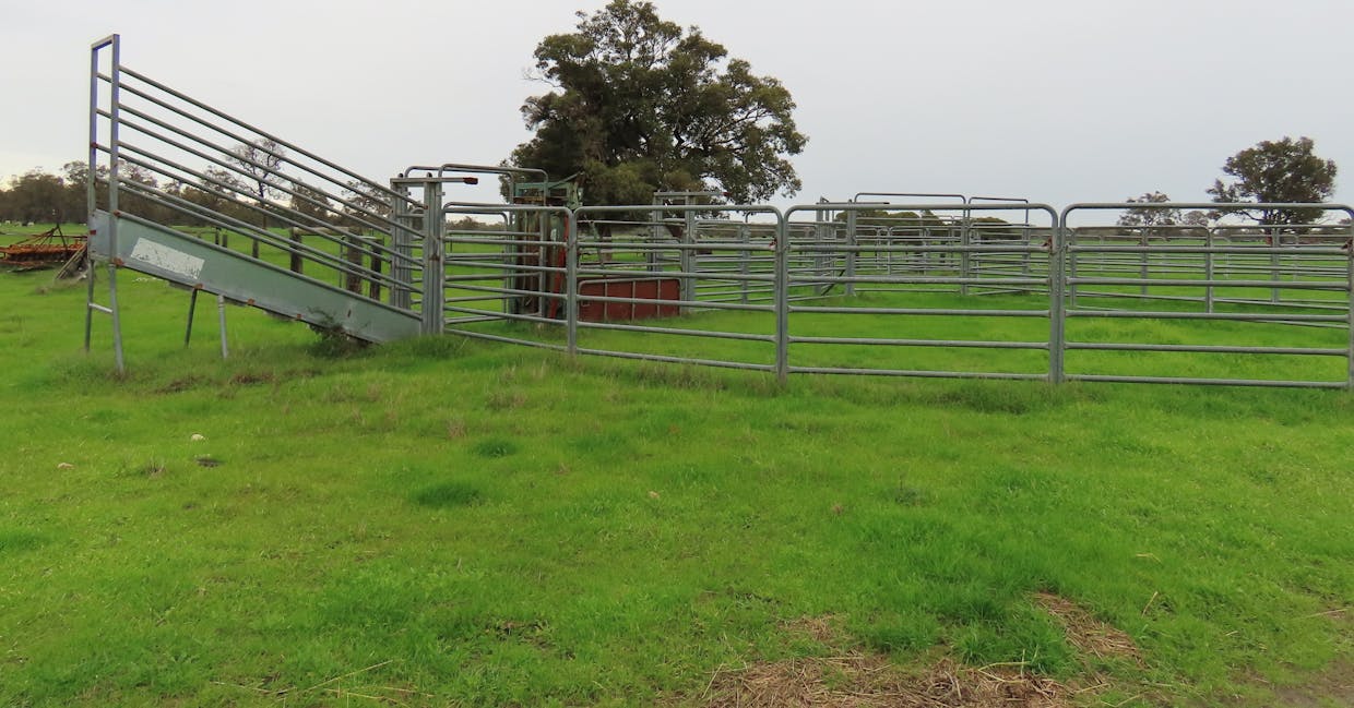 Lots Marsh Road, West Pinjarra, WA, 6208 - Image 3