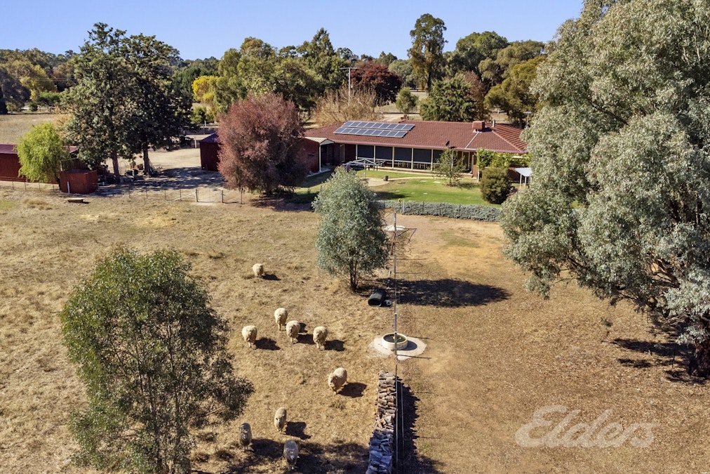 61 Kensington Drive, Killawarra, VIC, 3678 - Image 31