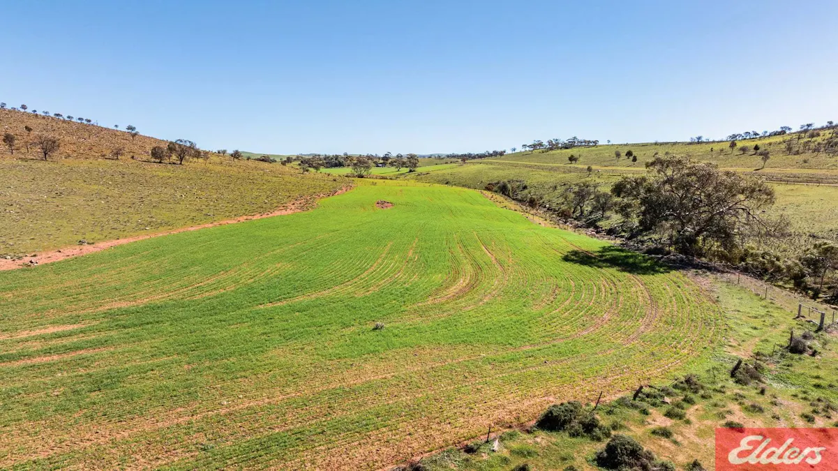 101 Rocky Road, Frankton, SA, 5374 - Image 14