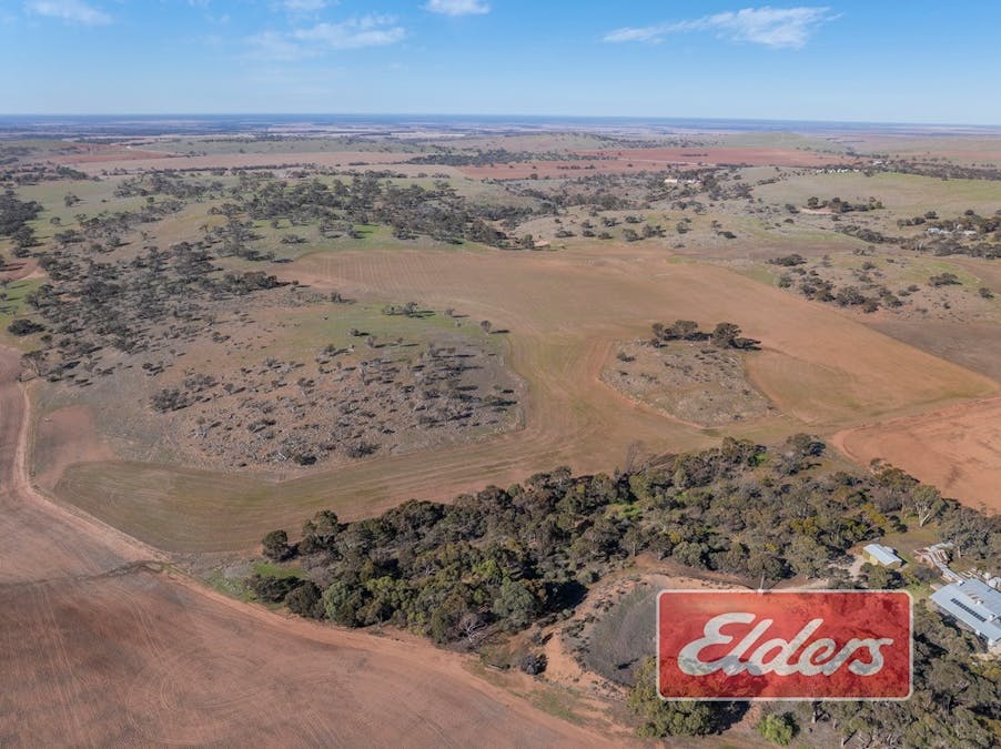 58 Oaklands Road, Dutton, SA, 5356 - Image 35