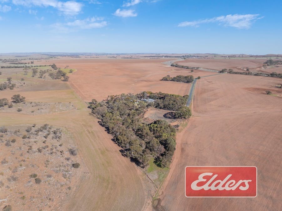 58 Oaklands Road, Dutton, SA, 5356 - Image 2