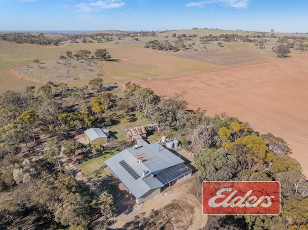58 Oaklands Road, Dutton, SA, 5356 - Image 1