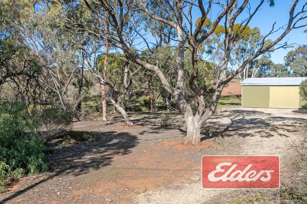 58 Oaklands Road, Dutton, SA, 5356 - Image 30