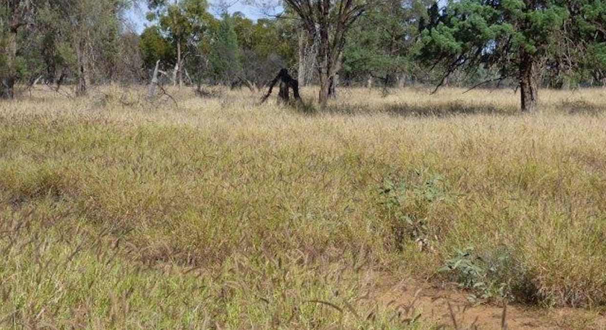 553 Mitchell Highway, Wyandra, QLD, 4489 - Image 2