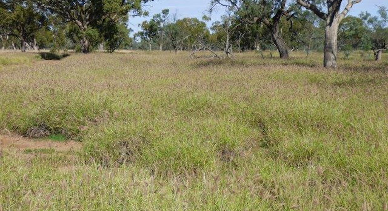 553 Mitchell Highway, Wyandra, QLD, 4489 - Image 7