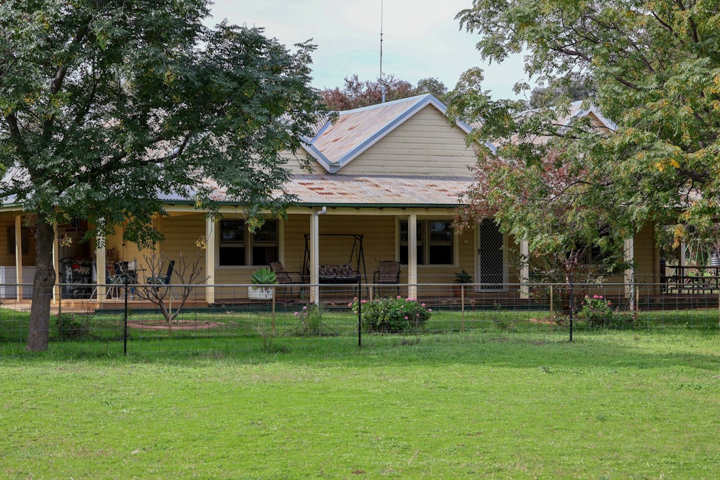 Windeena 802 Milpulling Road, Balladoran, NSW, 2822 - Image 17