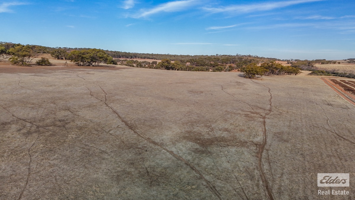 Toodyay, WA, 6566 - Image 13