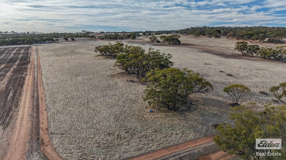 Toodyay, WA, 6566 - Image 11