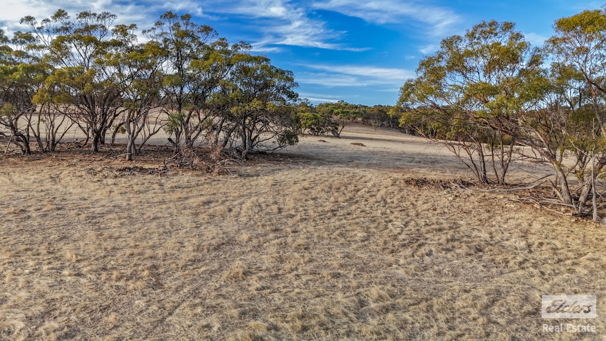 Toodyay, WA, 6566 - Image 4