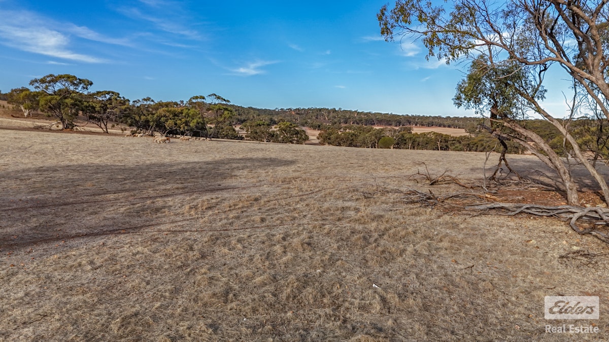 Toodyay, WA, 6566 - Image 17