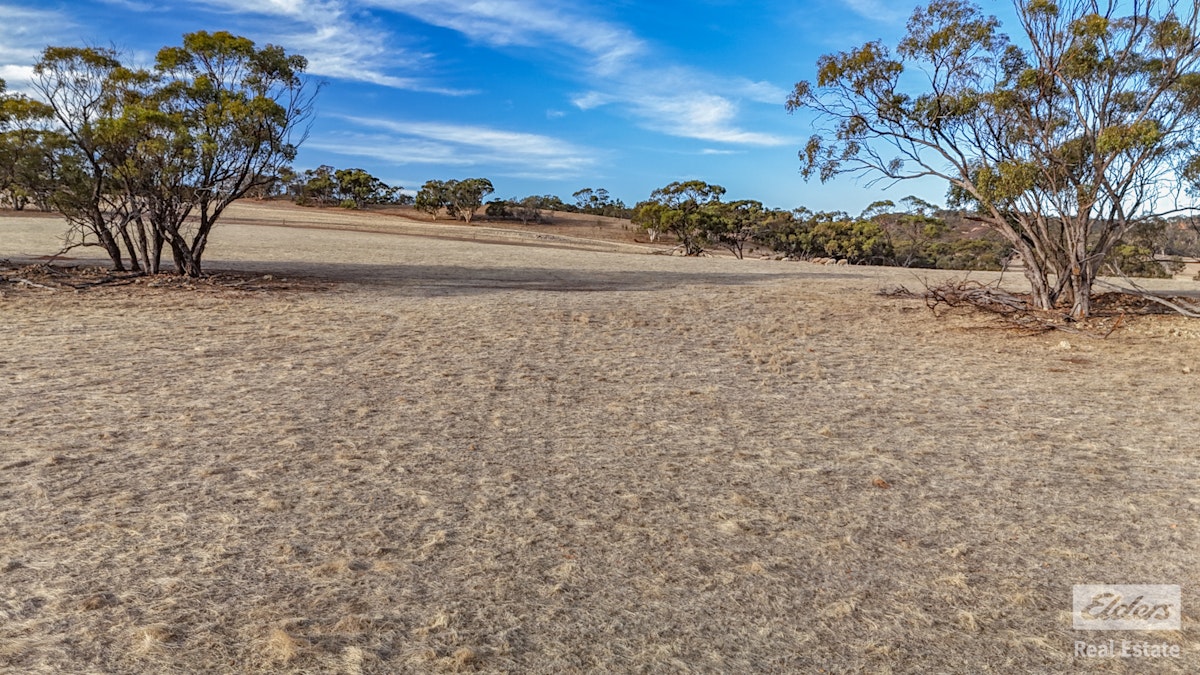 Toodyay, WA, 6566 - Image 18