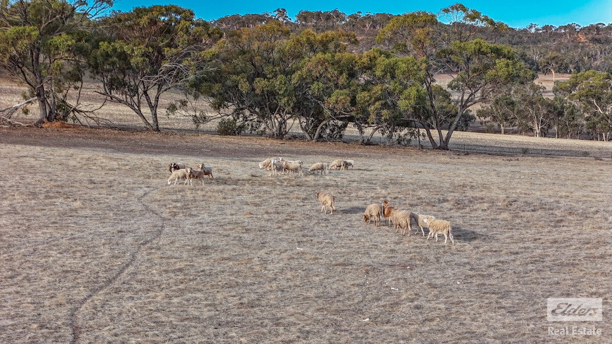 Toodyay, WA, 6566 - Image 20